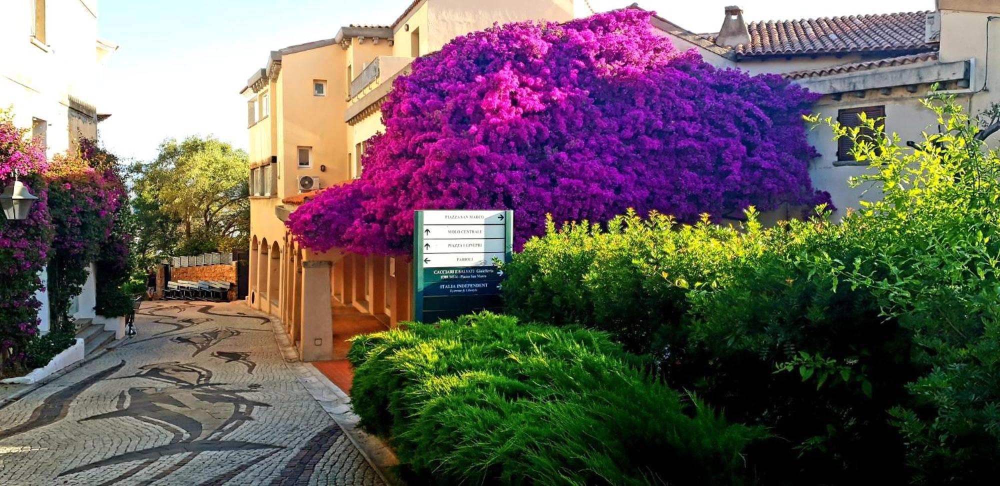 Residence Bouganville Porto Rotondo Esterno foto